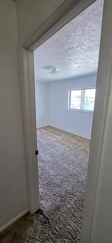 350 Moonlite Dr Photo 1