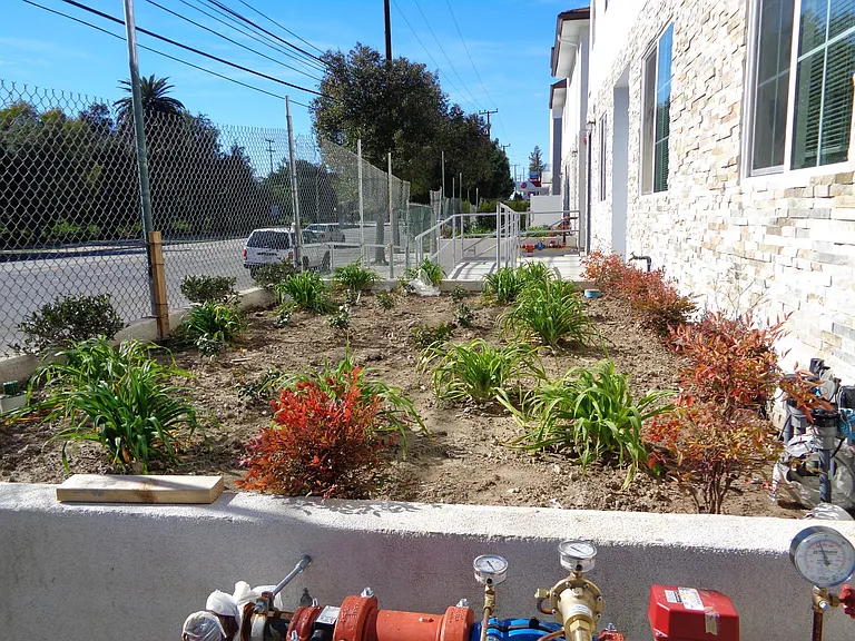 16429 Victory Blvd — Photo 10