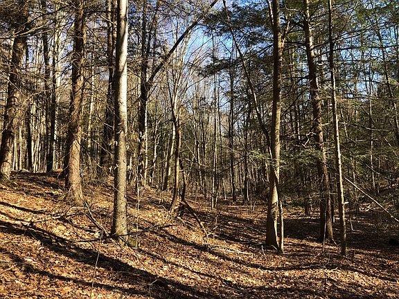 1187 Litchfield Road