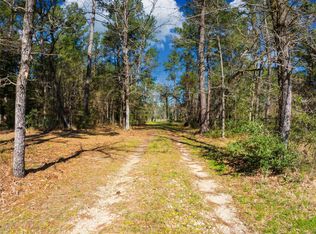 9191 Amelia Dr LOT 16, Anderson, TX 77830