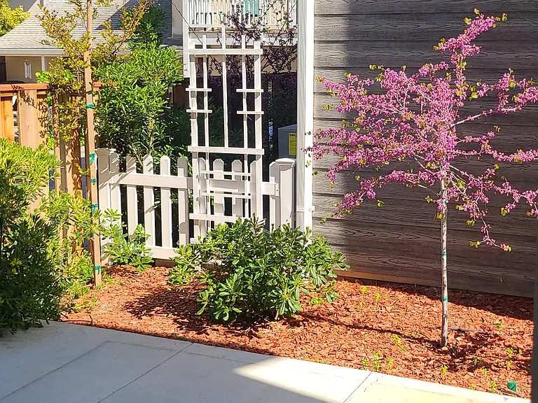 324 Grand Blvd — Photo 26