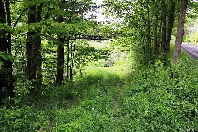 1st image of 0 MILL VALLEY Road