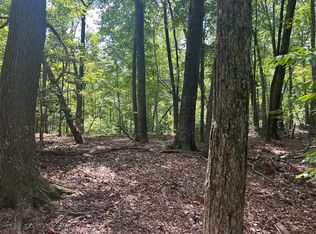 22.5 Ac Hwy #2, Blue Ridge, GA 30513
