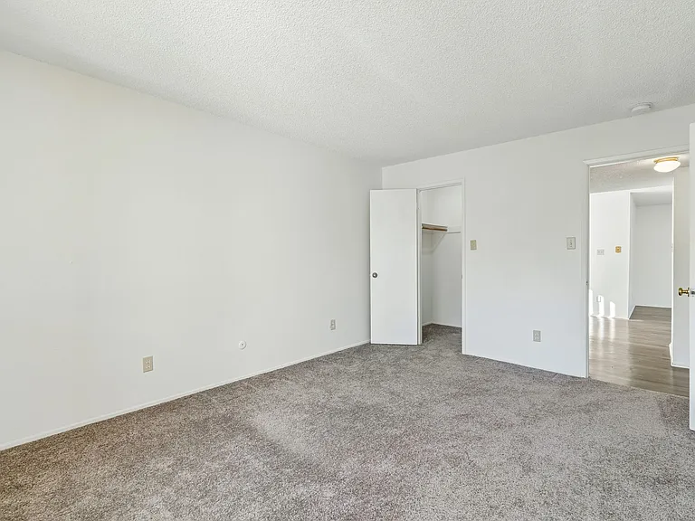 Sherwood and Forest Arms Apartments — Photo 17
