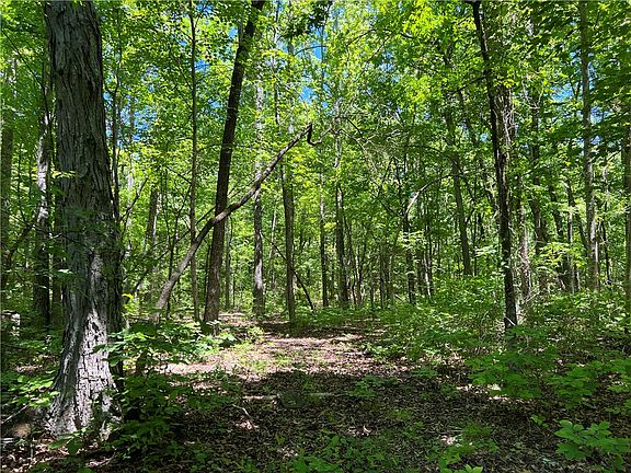 2nd image of Terrapin Rd
