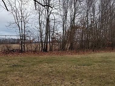 3rd image of 30042 Yellow Pine Ct