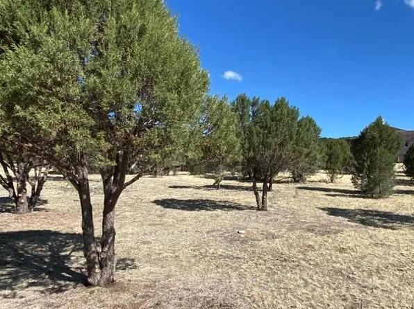 152 Reindeer Dr #6, Alto, NM 88312