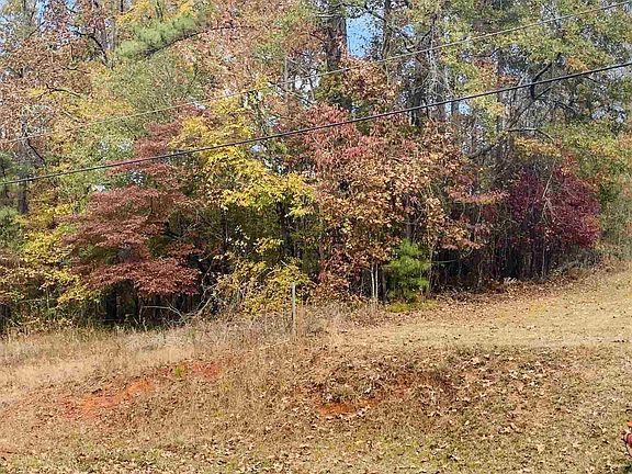 2nd image of 246 Little River Trl