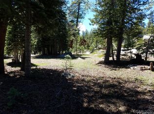 68 Orvis Rd, Bear Valley, CA 95223