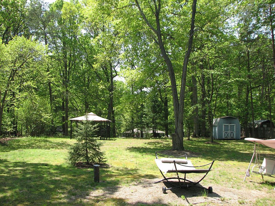 View of back yard