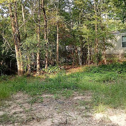 5th image of 16970 Pine Trail Dr