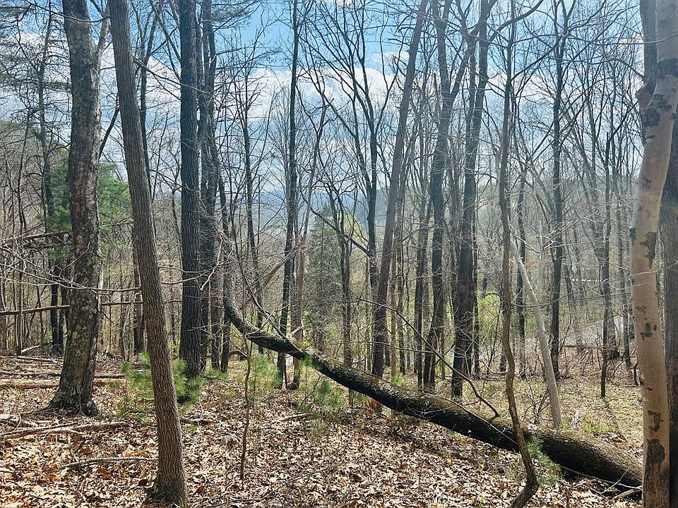 1st image of Tbd Julia Simpkins Rd