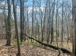 Tbd Julia Simpkins Rd, Hiwassee, VA 24347