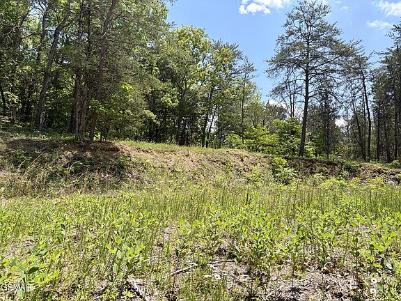 5th image of 7 Burchfiel Way Lot 7