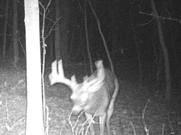0 E Forest Mdw, Seneca, WI 54654