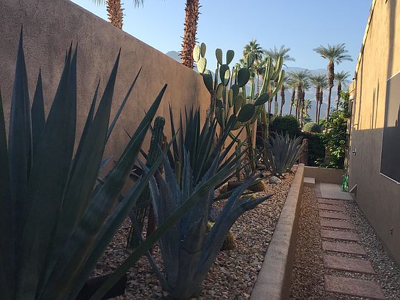 Walkway along side of house