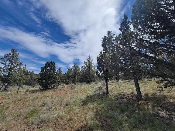 3rd image of 1500 SE Osprey Rd #62