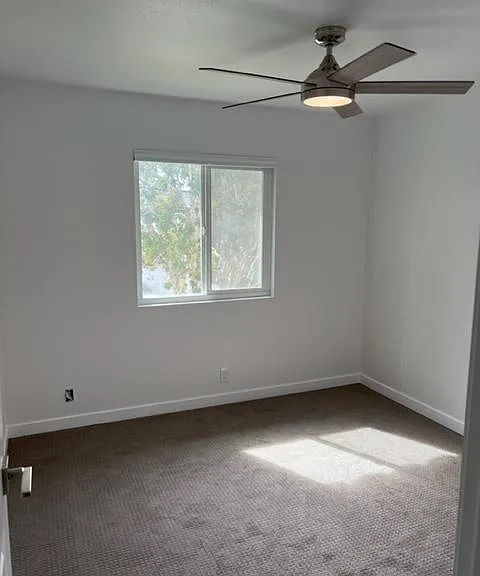 141 Holly Ave — Photo 15