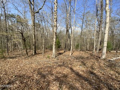 0 Rendezvous Rd LOT 22, Rockwood, TN, 37854