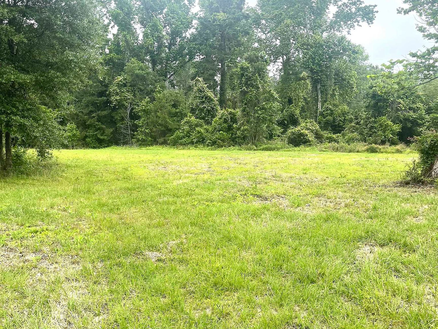 420 County Road 170, Bon Wier, TX 75928 Zillow