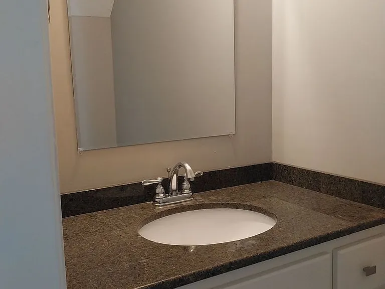 217 Callaway Chase Ln — Photo 11