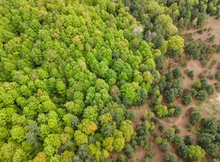 V/L W 48 Rd, Cadillac, MI 49601