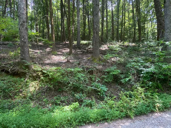 Hemlock Hemlock Trl, Blue Ridge, GA 30513
