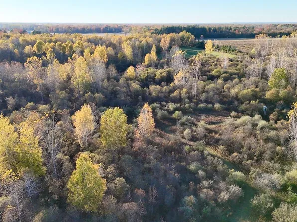 4292 W Curtis Rd, Coleman, MI 48618