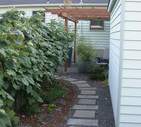 walkway to back yard