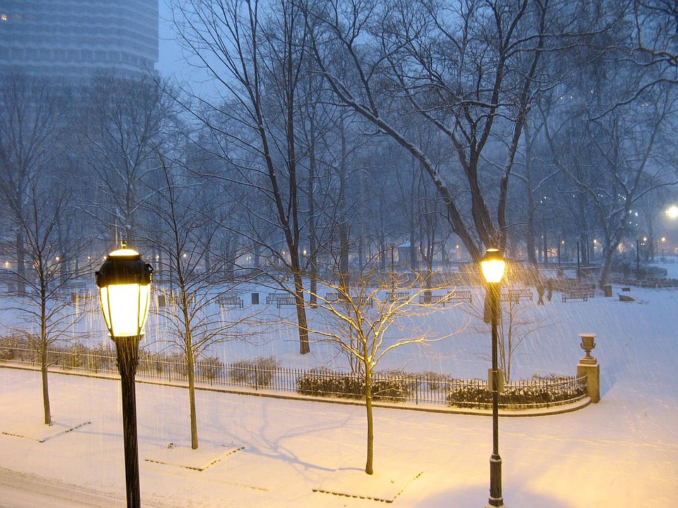 View from front window (Rittenhouse Square)