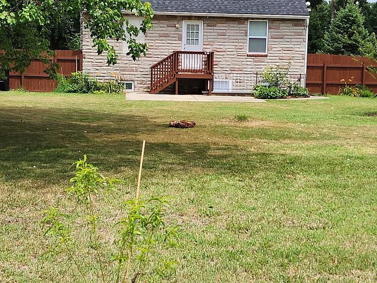 1207 Meadow View Rd — Photo 23