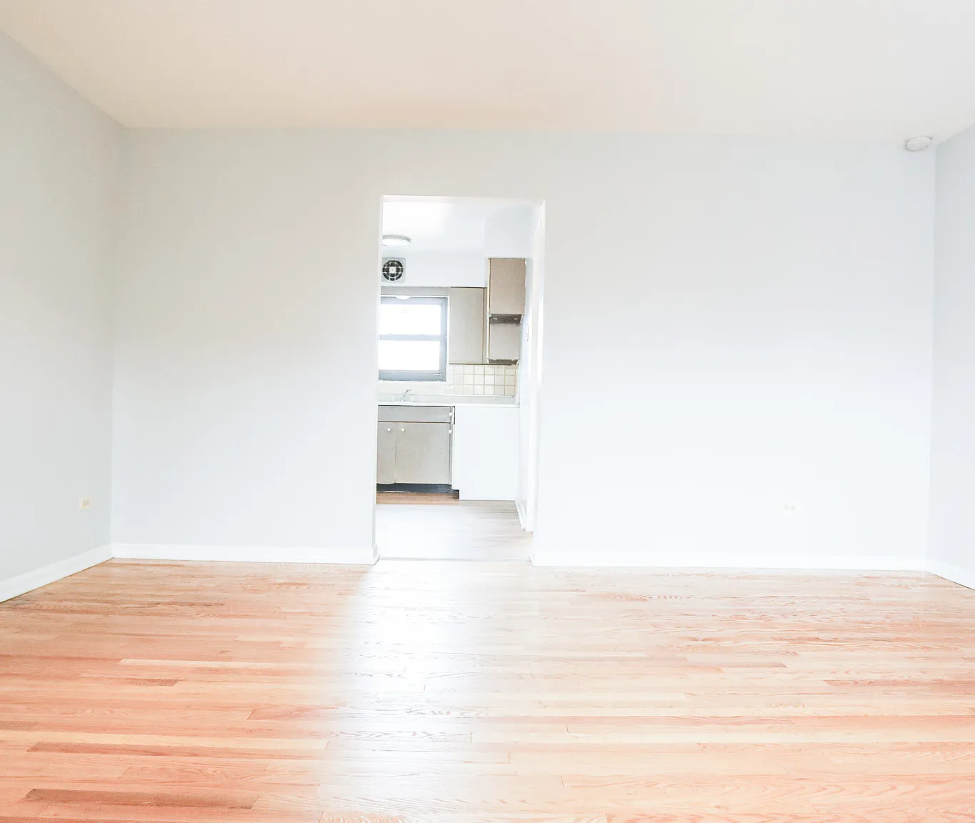 1 bed, 650 sqft, $1,350 — Photo 4