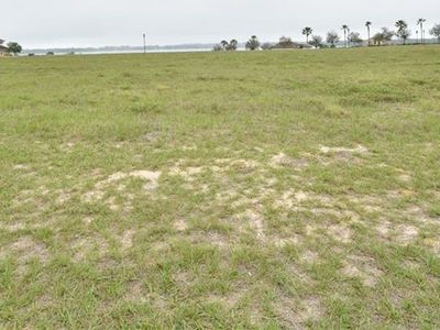 162 Blazing Star Ave, Lake Alfred, FL, 33850