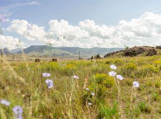 410 Mac Farlane Drive, Creede, CO 81130