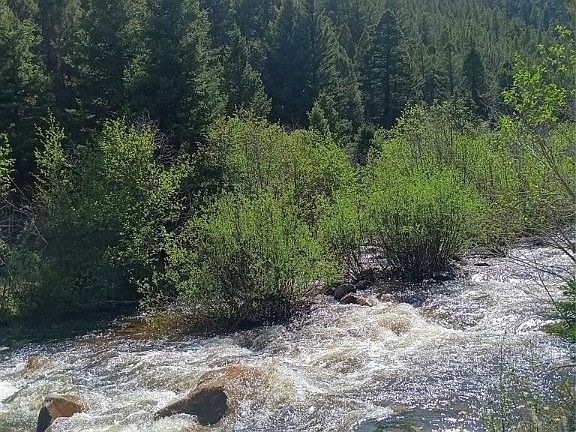 2nd image of 67 Basin Creek Rd