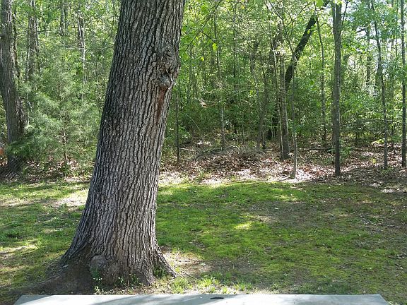 1304 Glade Backyard 1_03212017