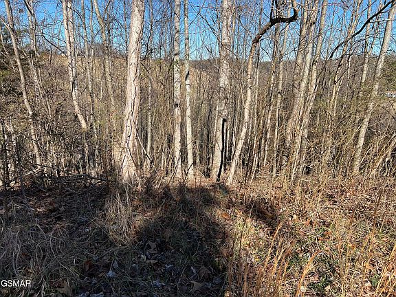 3rd image of LOT 2 Baldwin View Dr