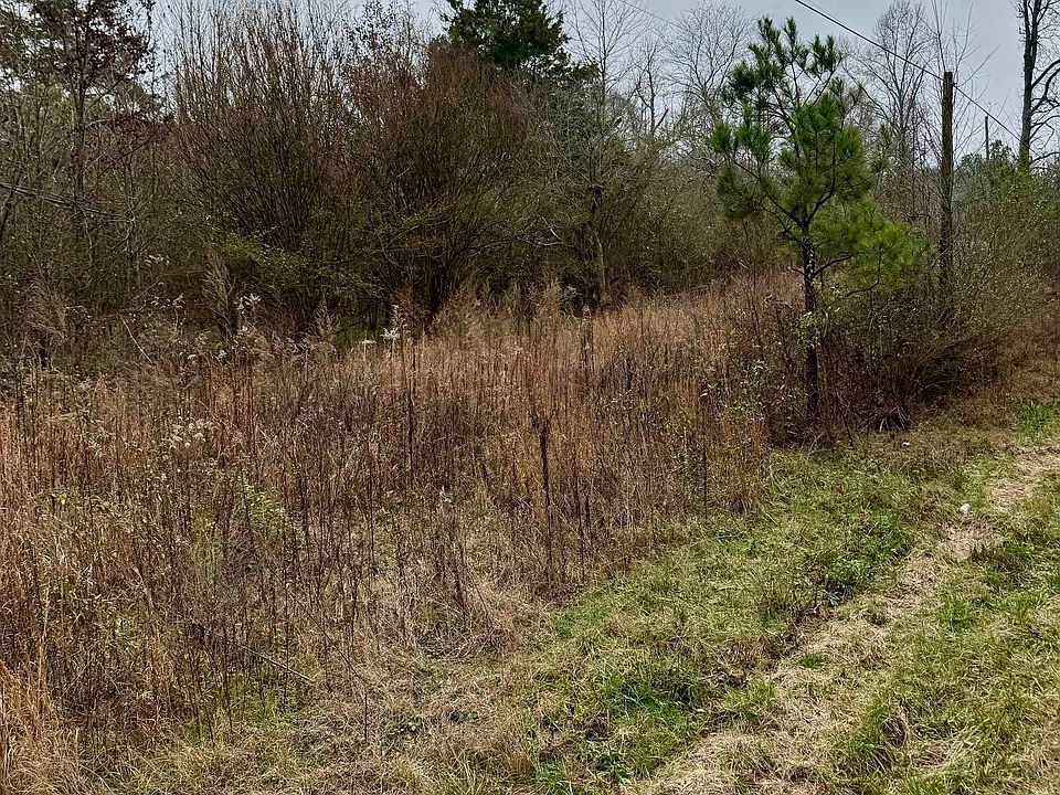 2nd image of 0 Alldredge Rd