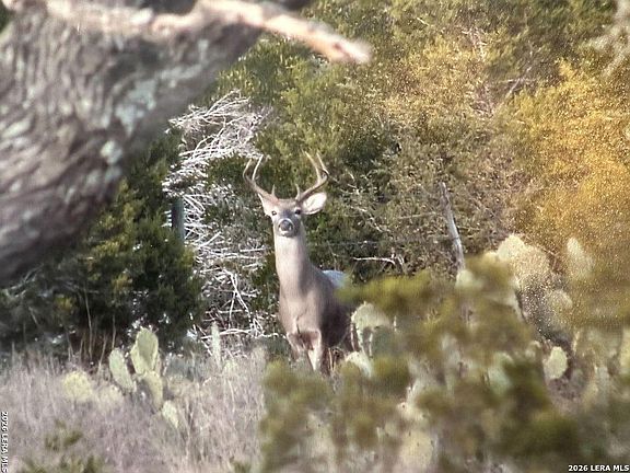 5th image of TBD Gallagher Ranch on Park Rd 37