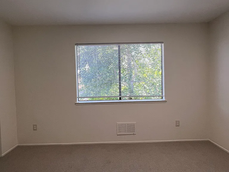 Bedroom withdow facing back