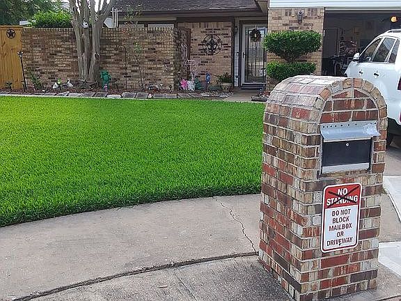 Front lawn 