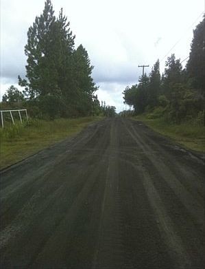 2nd image of Hibiscus St Lot 7406