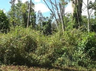 Puna Rd LOT 586, Pahoa, HI 96778