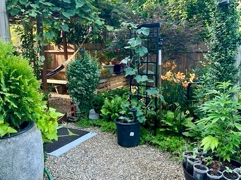 10 Cove Ave — Photo 4