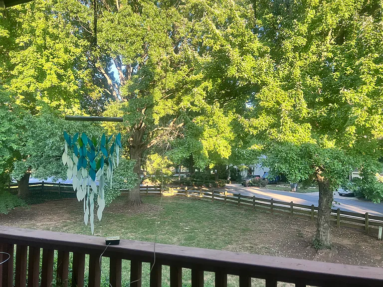 Great neighbors and great community