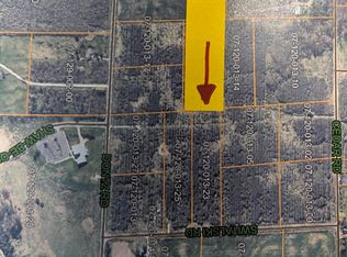 Switalski Rd, Manistee, MI 49660