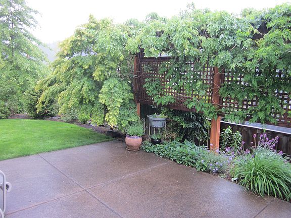 Backyard 1