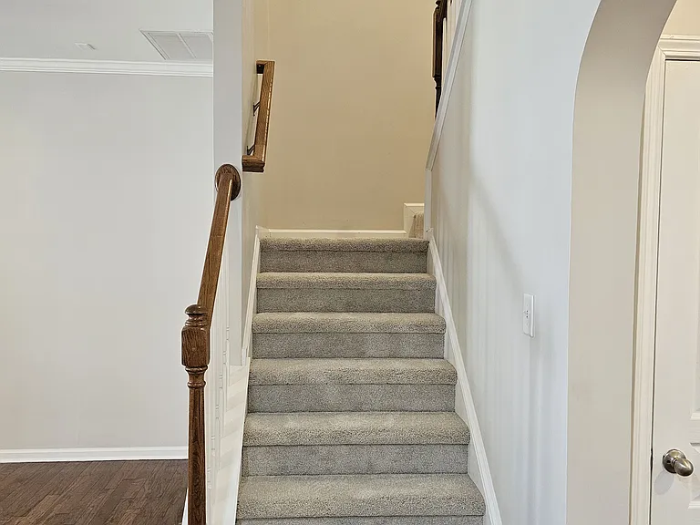 New CARPET