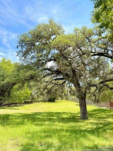 LOT 10 White Tail Ln LOT 10, Bandera, TX, 78003