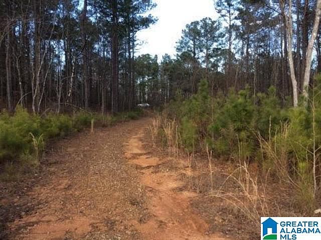 2nd image of Coley Creek Rd